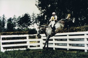 Watermill S Expaard Watermill S Expaard