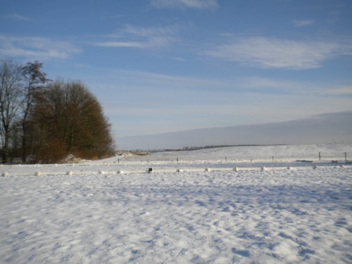 sneeuwdres