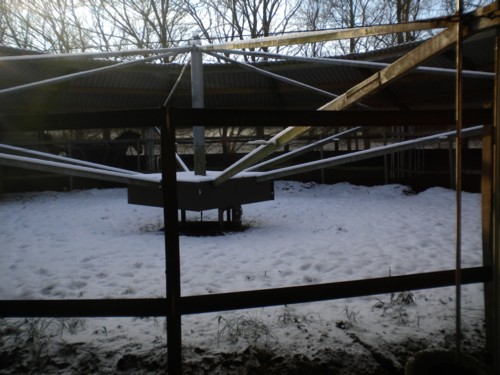 sneeuwmolen