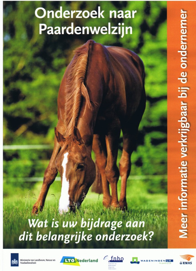 Welzijnpostersite
