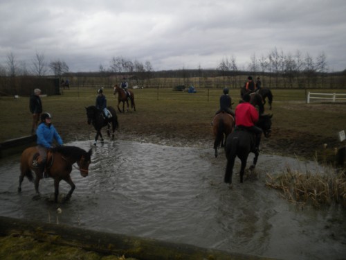 groep