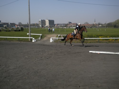 aawar3