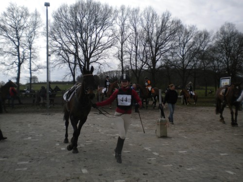 mmarkkeuring
