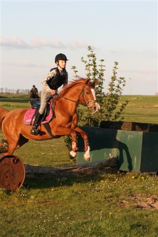ponyapril
