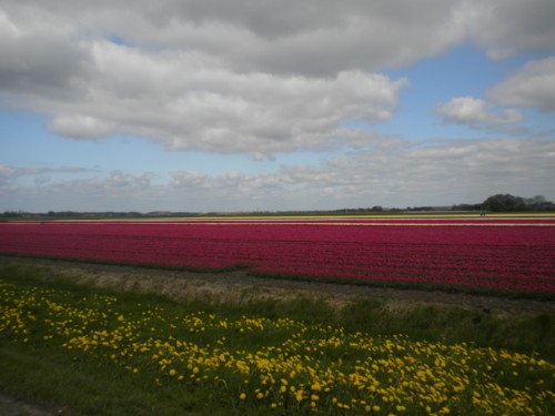 aakleuren