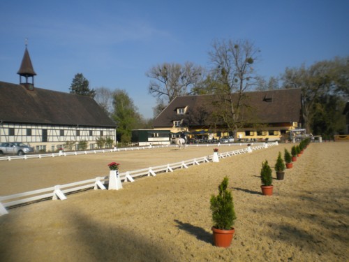 b1site