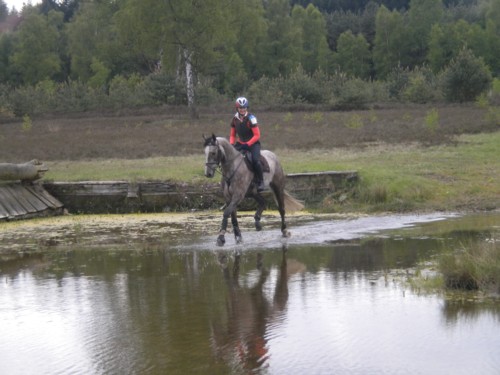 ede3