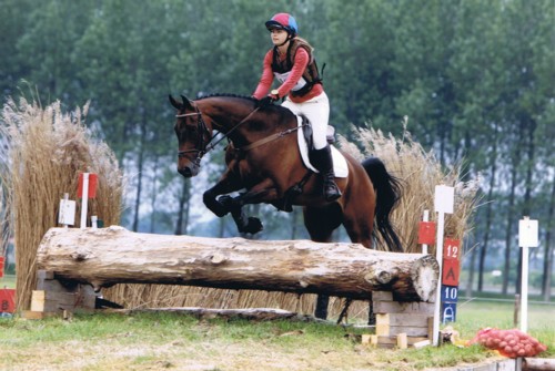 AmarilloOudKarspel2