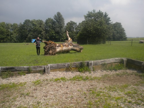 beukeboom