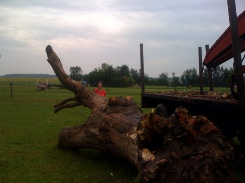 boom4site