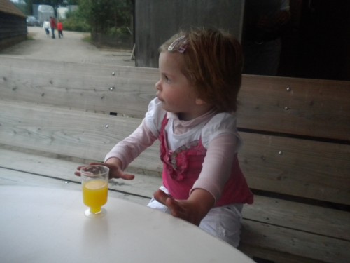feest7site