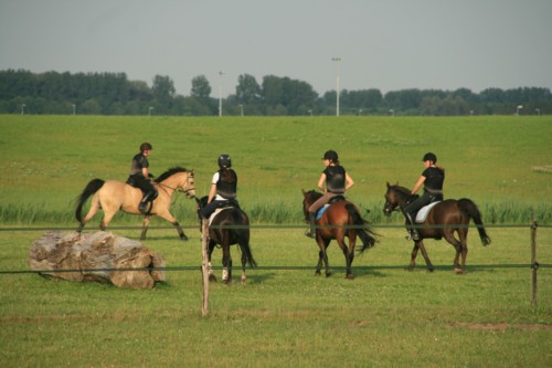 juni11