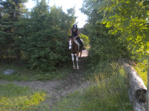 juni7