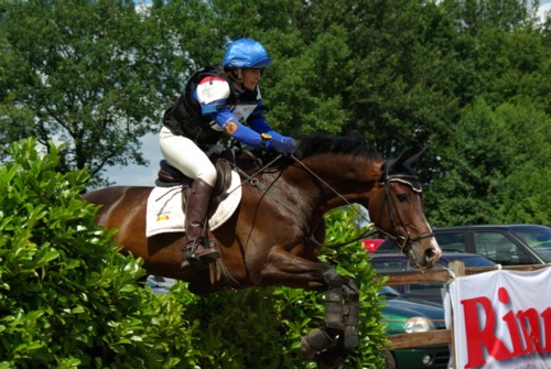 RWhizhegsite