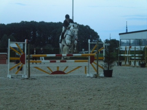 emmeloord3