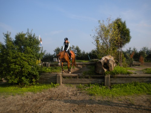 sepdo5site