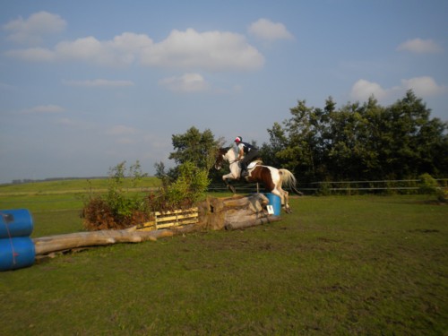 sepdo7site