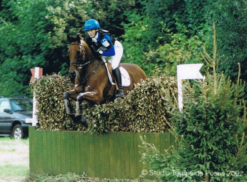 toetiesite toetiesite