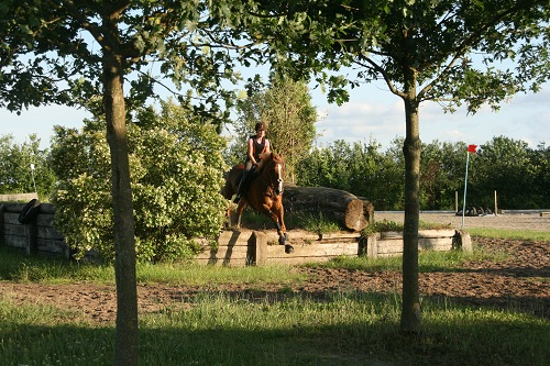 juni6