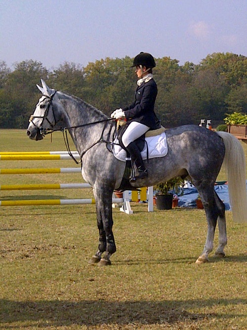 Cameri-20111023-00122 Cameri-20111023-00122