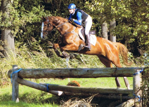boZinadjaalleen boZinadjaalleen