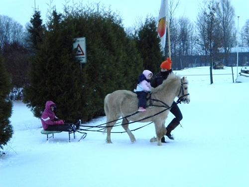 11sneeuwslee