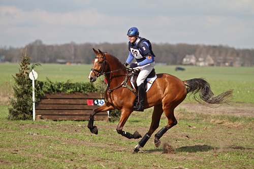 ChaambobgalopIMG_7394