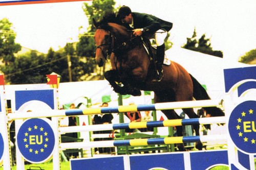 aapaiersite aapaiersite