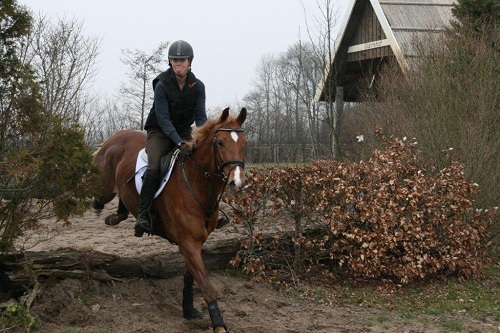 afIMG_4451 afIMG_4451