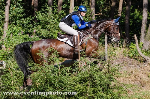 harryhelvoirt harryhelvoirt