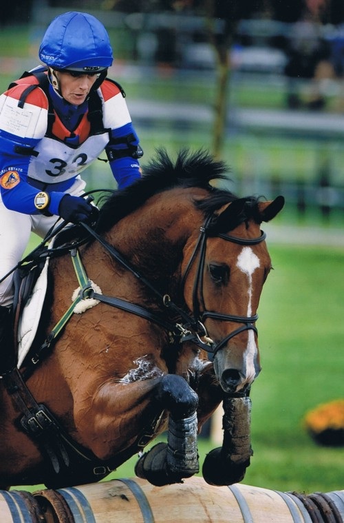 pepsitebredaarnd pepsitebredaarnd