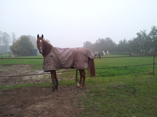 20121024_100837 20121024_100837