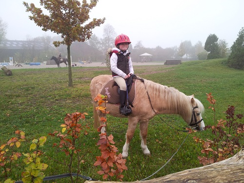 20121024_101112 20121024_101112