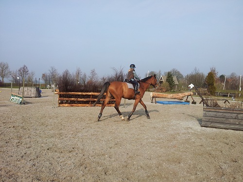 1302LeidaBob 1302LeidaBob