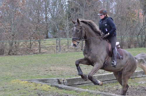 13132_4377683883569_493900186_n 13132_4377683883569_493900186_n