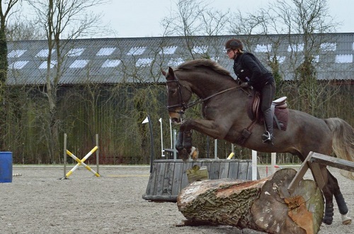 63266_4377683003547_2139874949_n 63266_4377683003547_2139874949_n