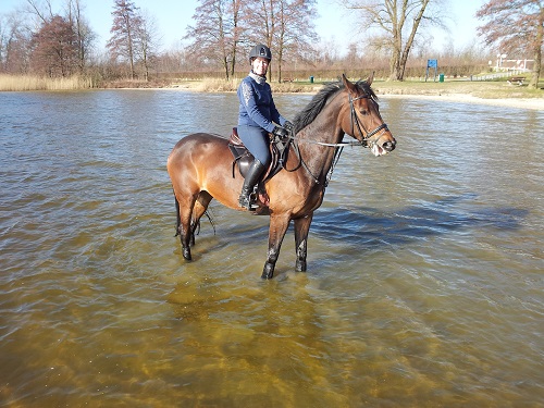 hildevmeer hildevmeer