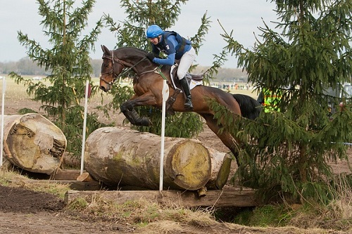 chaamharryb chaamharryb