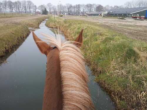 nulmeting (2) nulmeting (2)