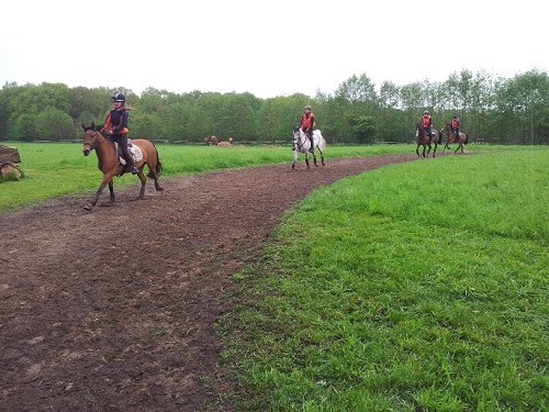 20130511_120311_resized 20130511_120311_resized