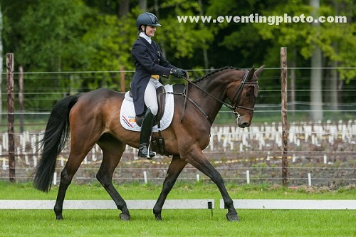 harrybmaarsb (2) harrybmaarsb (2)