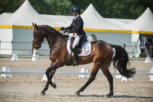 Alice Naber-Lozeman (NED) Alice Naber-Lozeman (NED)