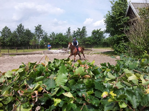 20130702_124229_resized 20130702_124229_resized