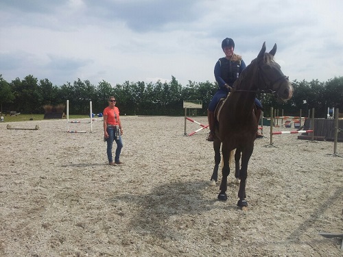 20130702_153310_resized 20130702_153310_resized