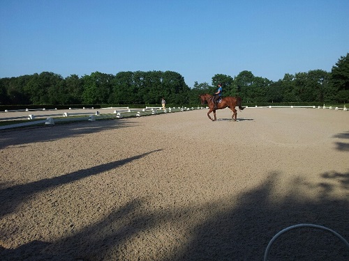 20130706_190008_resized 20130706_190008_resized