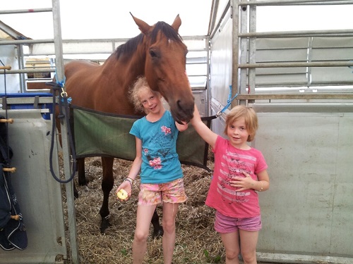 20130715_185447_resized_1 20130715_185447_resized_1