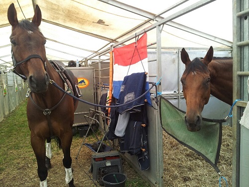 20130716_132824_resized 20130716_132824_resized