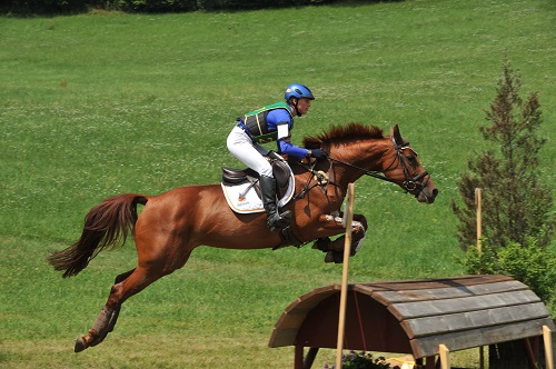 NED Joanne met Avalona_4644