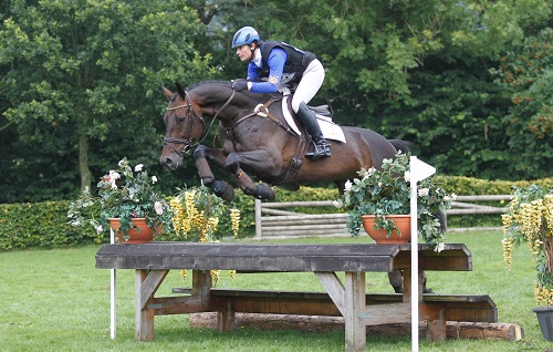 ACSI Dutchman (Colandro x Julio Mariner xx x G. Ramiro) Met Alice Naber