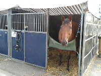 IMG-20130814-WA0013_resized IMG-20130814-WA0013_resized